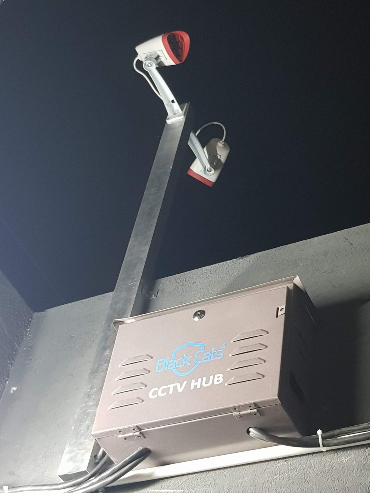 Black Cats CCTV hub enclosure mounted on a wall below pole-mounted cameras at night