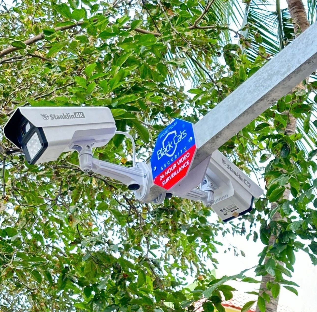 Two Stanklin 4K outdoor CCTV cameras on a galvanised pole with a Black Cats 24 hour video surveillance sign