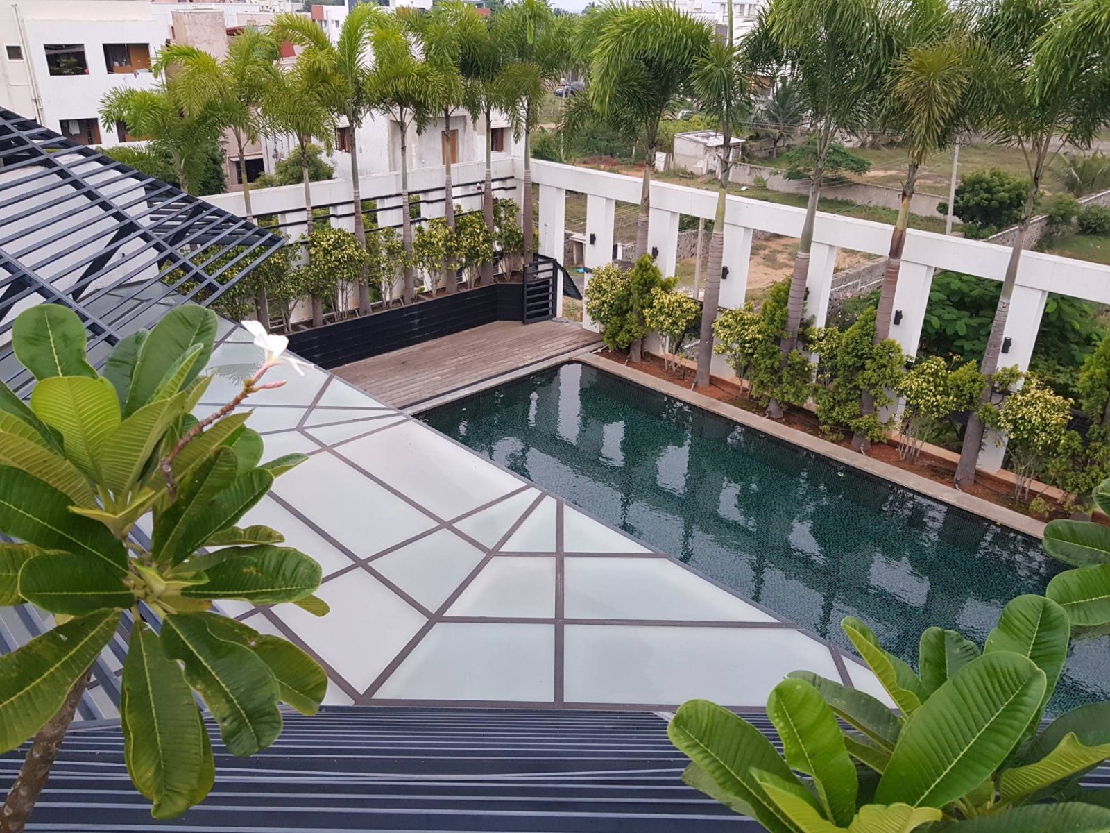 Villa terrace with a swimming pool, glass roof section and palm-lined boundary wall
